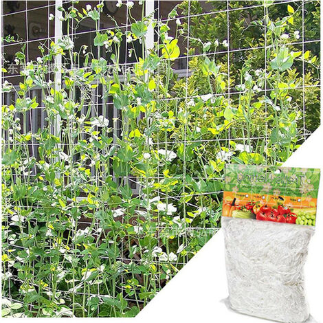 Yardwe 3 Pièces Treillis Filet pour Plantes Grimpantes Couverture Végétale  en Filet Élèvent Le Filet De Tente Faire Pousser des Treillis De Tente