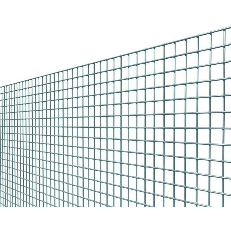 Rouleau de treillis électrosoudé galvanisé mt25 mm19x19 h 100 Salone
