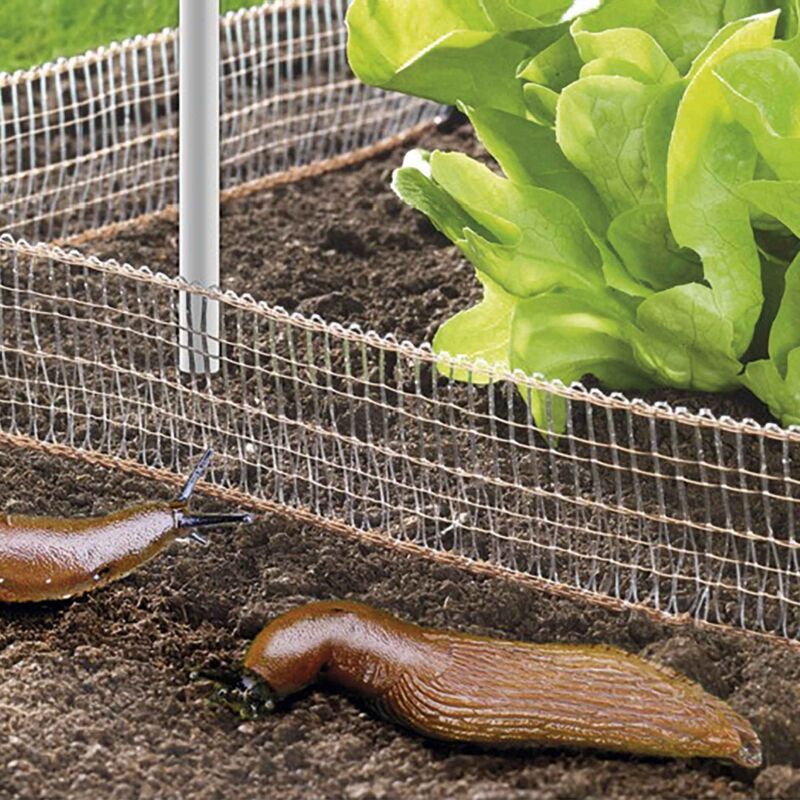 Wenko - Clôture anti-escargots, répulsif en cuivre