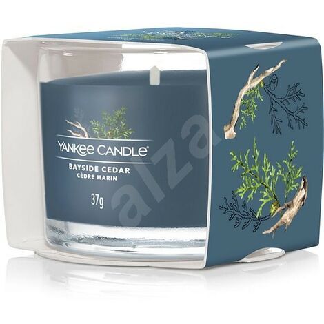 Yankee candle al miglior prezzo - Pagina 8