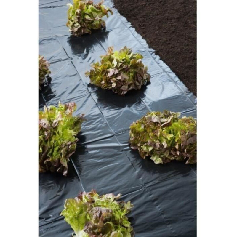 Nature - Film de paillage ldpe noir 30mic - 140cm x 10m