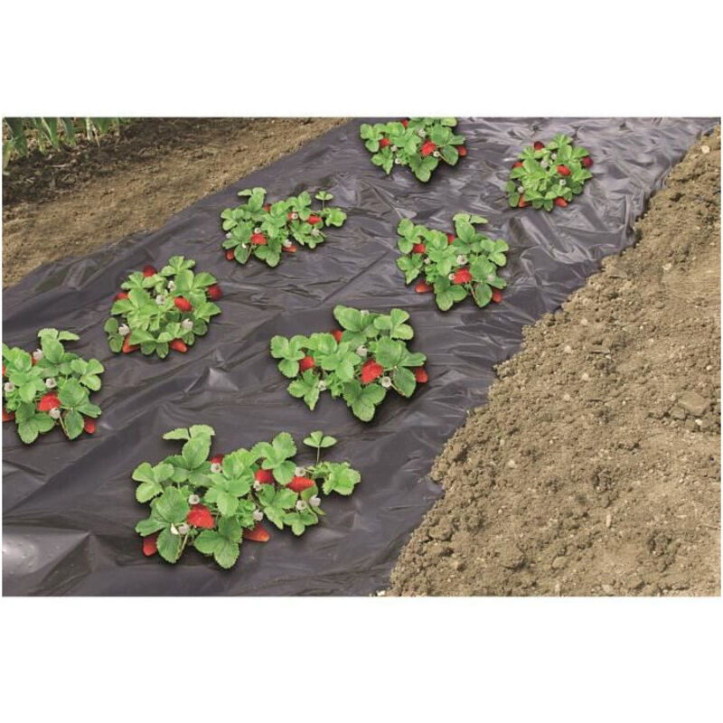Nature - Feuille de paillis pour fraises 1,4 x 20 m 6030231