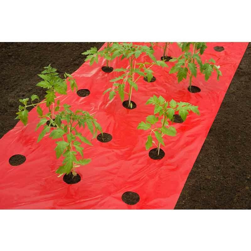 Nature - Film de paillage tomates, l 10 m - rouge