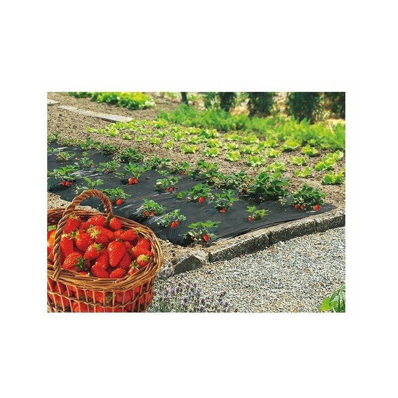 Film paillage fraises 1,40x10m ref 100050