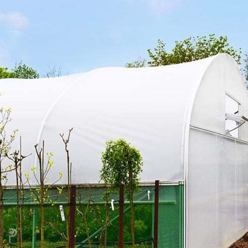 Atout Loisir - Bâche de serre diffusante Lumisol 200 microns - Long 16.50 m, Larg 6.50 m