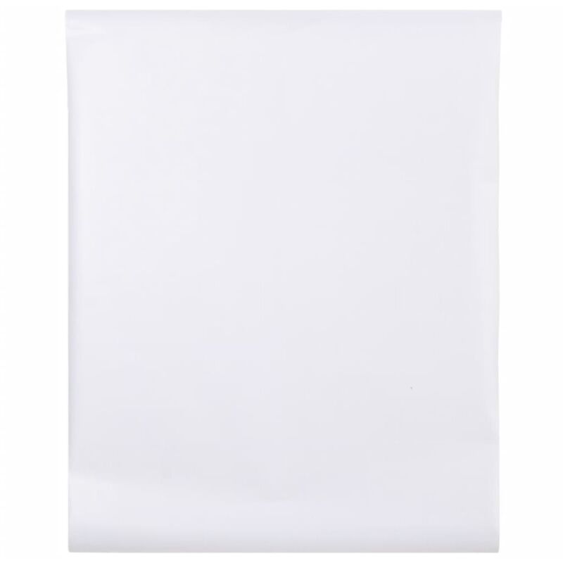 Vidaxl - Film pour fenêtre dépoli transparent 60x1000 cm pvc