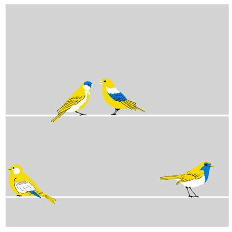 Film vitrostatique 3D Oiseaux 45cmx20ml - DECO VITRE