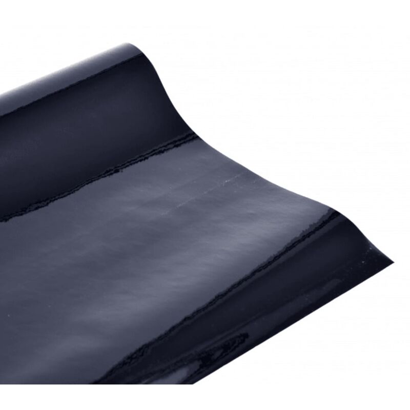 Film de fenêtre statique 200x76 cm Noir Carpoint Noir