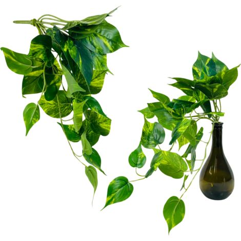 Filodendro verde - Ramo de hojas colgantes, espiga - 45 cm