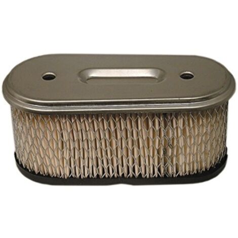 Filterpatrone Briggs und Stratton - 491021