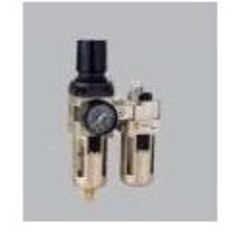 FILTRAJE EMC AUTO REF. EC2010-02D5 G1/4 - ACCESFLUID