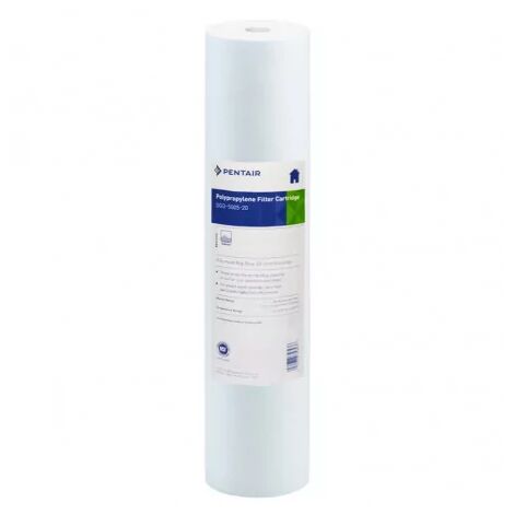 Filtre 20 Pouces Pentair DGD 5005