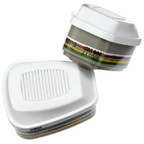 Filtre 3M 6099 P3 2 unités