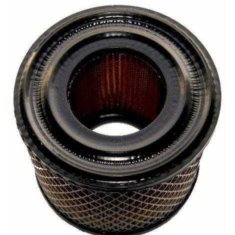 Filtre à air adaptable Briggs & Stratton – Compatible séries 170400 à 243400 – Diamètre 106mm – Remplace plusieurs références d'origine