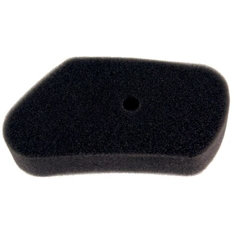 Filtre à Air Adaptable Pour Honda Hr173. Remplace Origine: 17211-zg1-700. L: 135mm,l 72mm,h:23mm.