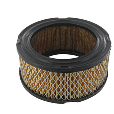 Filtre à Air Adaptable Pour Moteur Briggs & Stratton Séries 252400, 253400 & 255400. Remplace Origine: 392286.h:60mm, ø: Ext:124