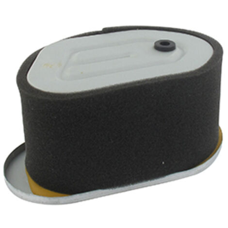 Filtre à Air Adaptable Robin Eh36, Eh41. Remplace Origine 267-35003-01, 267-32600-18, 267-35003-11.