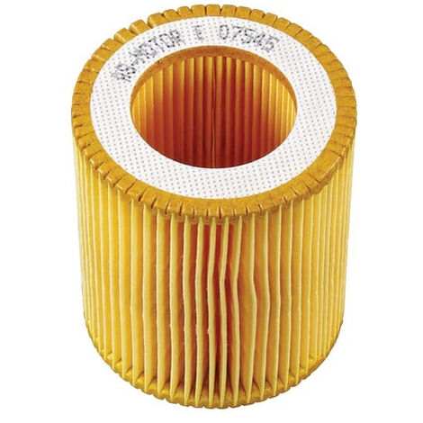 Filtre à air AS-MOTOR E07545ASM