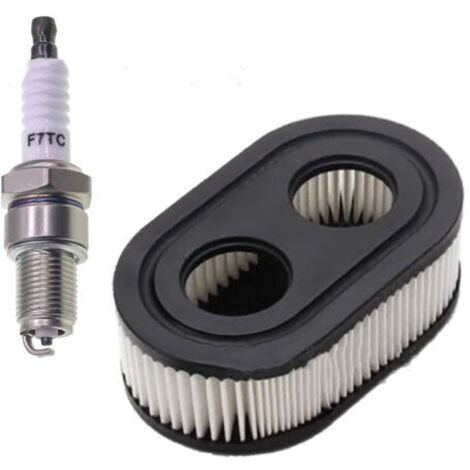Filtre à air & Bougies d’allumage pour Moteurs Briggs & Stratton 550E 550EX Série Eco-Plus 575EX remplace Le 798339 798452 593260 093000er 09P0000 Moteur 4247 5432 5432K