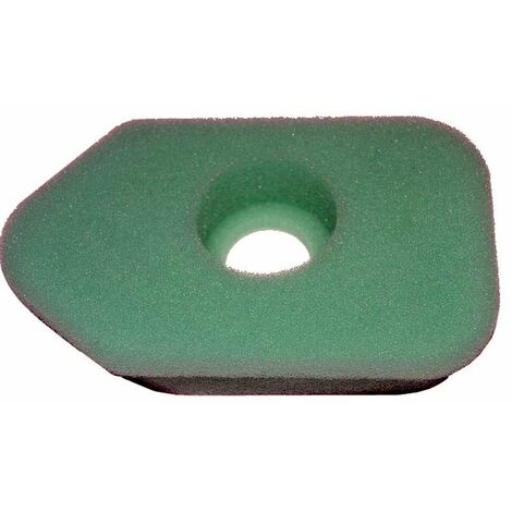 Filtre à air BRIGGS ET STRATTON 272235
