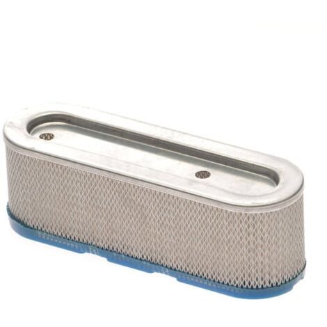 Filtre A Air Briggs Et Stratton (399806, 491519)