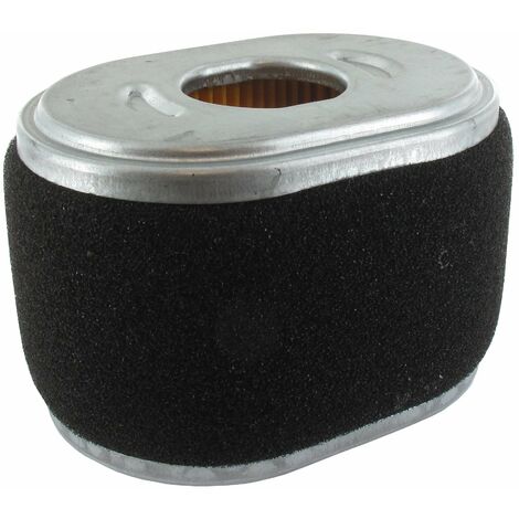 Filtre à air BRIGGS ET STRATTON 590601