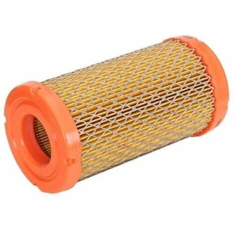 Filtre à air BRIGGS ET STRATTON 793569 - series 33