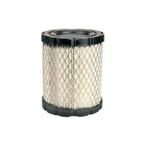 Filtre à air BRIGGS ET STRATTON 798897