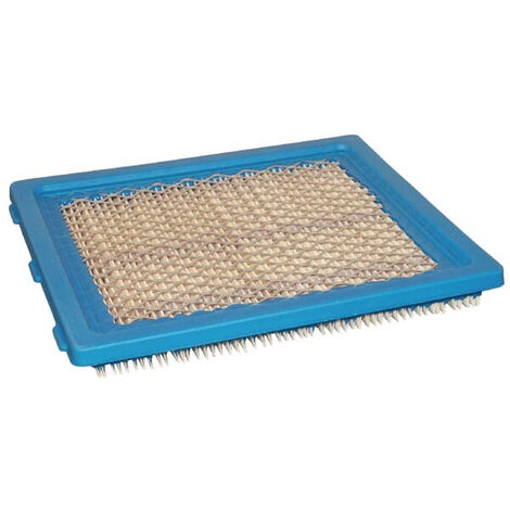 Filtre à air BRIGGS ET STRATTON 805113