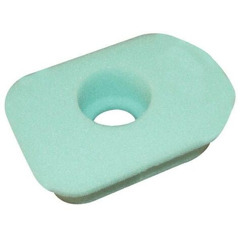 Filtre à air Briggs & Stratton - 270579