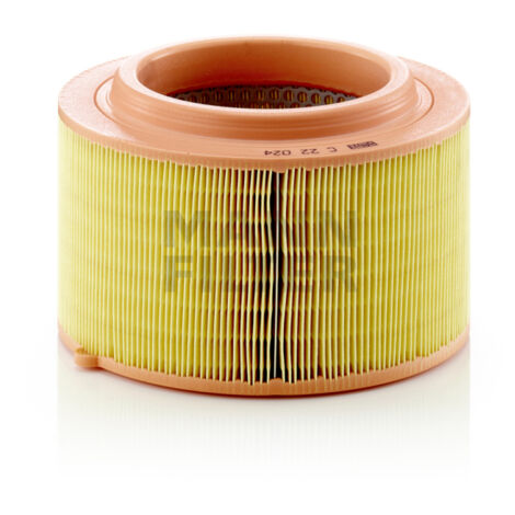 FILTRE À AIR C22024 MANN