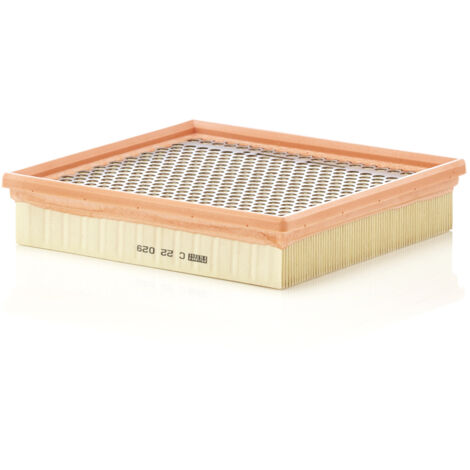 FILTRE À AIR C22029 MANN