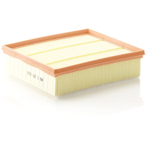 FILTRE À AIR C25122 MANN