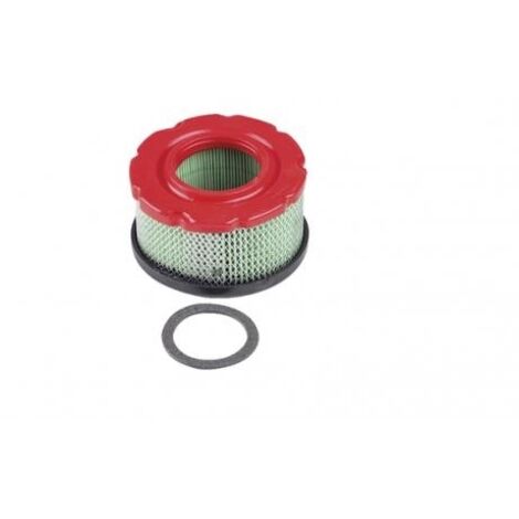 Filtre à air compatible avec le moteur BRIGGS&STRATTON 005425 797819