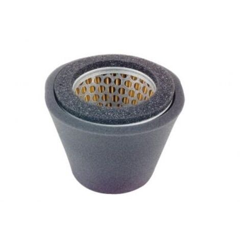 Filtre à air compatible avec le moteur de la tondeuse ROBIN EY17 107-32701-00