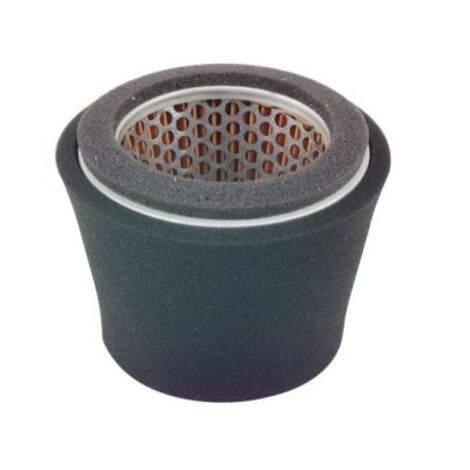 Filtre à air compatible avec le moteur de la tondeuse ROBIN EY44 209-32620-07