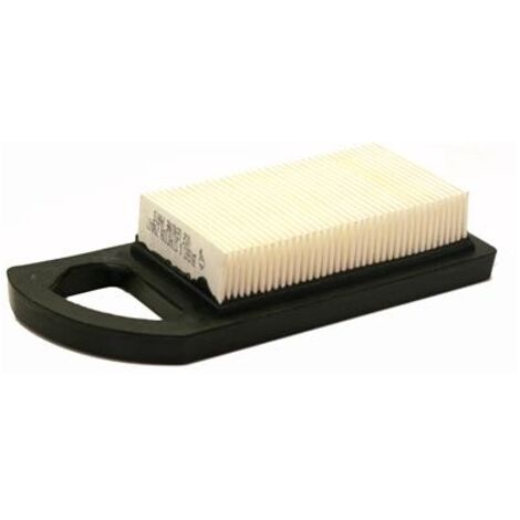 Filtre à air compatible avec les tondeuses Briggs & Stratton AVS 21A900