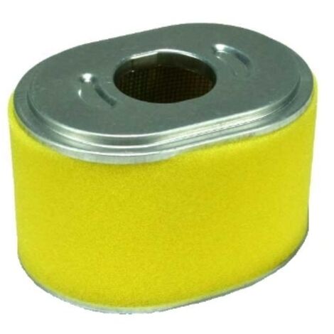 Filtre à air compatible Briggs & Stratton et HONDA GX240 GP 270