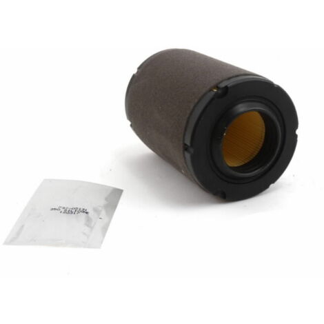 Filtre à air de refroidissement du moteur MTD 737-05129A