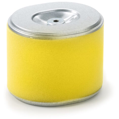 Filtre à air de refroidissement du moteur Oregon 30-417