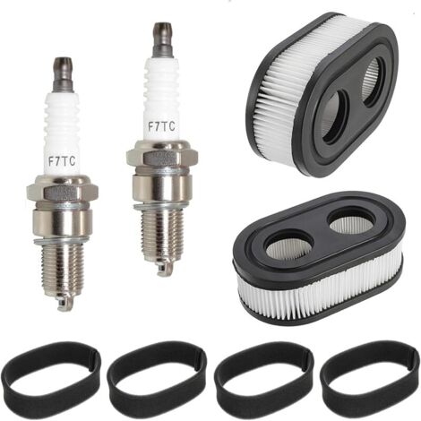 Filtre a Air de Tondeuse pour Briggs & Stratton 593260 5432 5432K 550E 550EX 798452 avec 2 bougie d'allumage