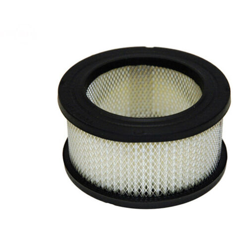 Filtre à air de tondeuse Tecumseh - 31925, AM30800 ref FGP006093