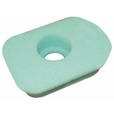 Filtre à air en mousse pour BRIGGS ET STRATTON 270579S