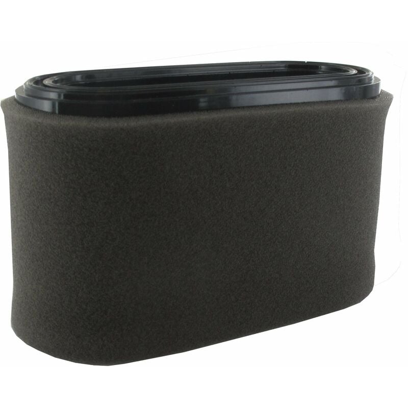 Filtre à air GGP - CASTELGARDEN 118551406/0