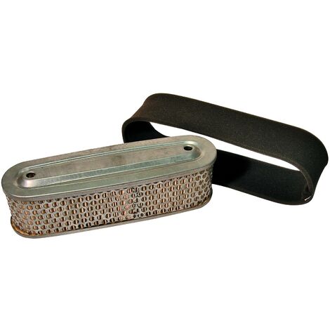 Filtre à air Honda 17211891004, 17211-891-004