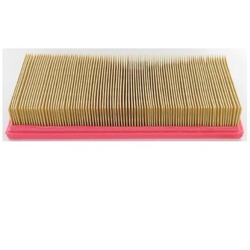 Lombardini - 2175165 - Filtre à Air pour Moteur