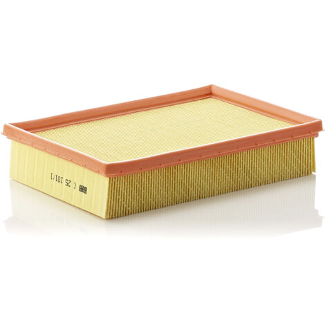 Filtre A Air MANN C25101/1 - Equivalent SA 4043 HIFI FILTER