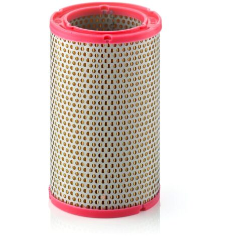 Filtre à air Mann Filter C1134/1