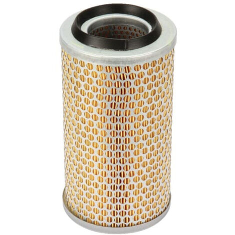 Filtre à air MANN-FILTER C13131
