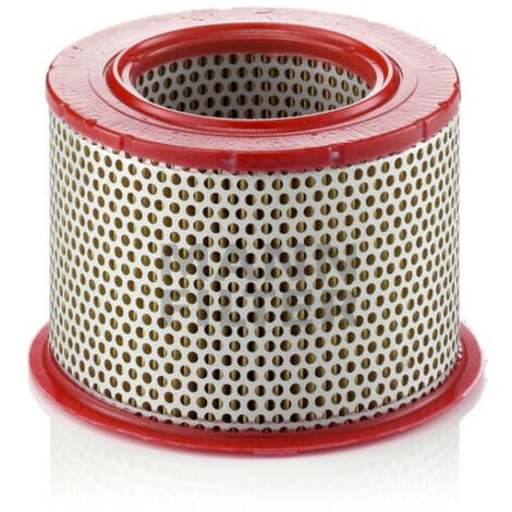 Filtre à air MANN-FILTER C15551